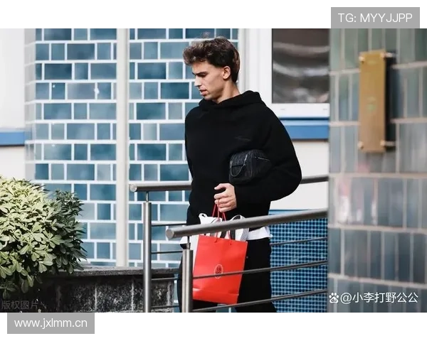 从天才少年到争议焦点：菲利克斯的职业轨迹